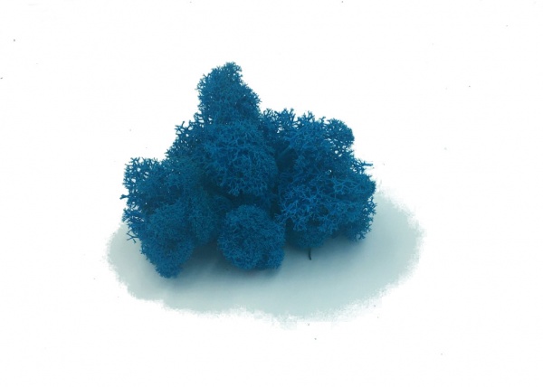 Purified Reindeer Moss Blue 2 kg FINNISH